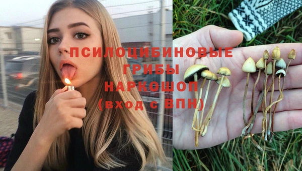 героин Алзамай
