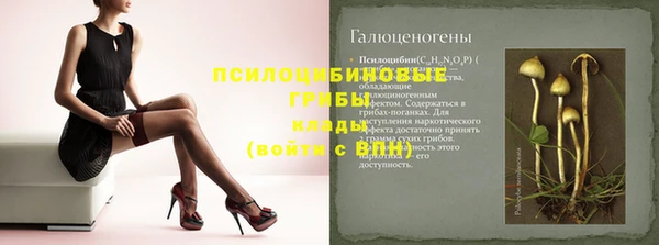 прущий лед Алексеевка