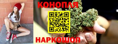стафф Ставрополь