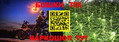 стафф Ставрополь